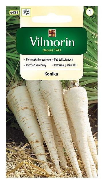 Pietruszka korzeniowa Konika 5g Vilmorin