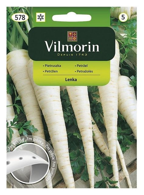 Pietruszka Lenka taśma 7m Vilmorin