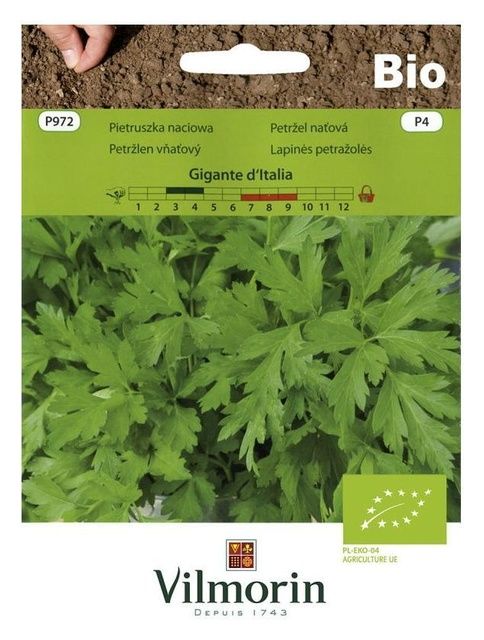 Pietruszka naciowa 5g Vilmorin