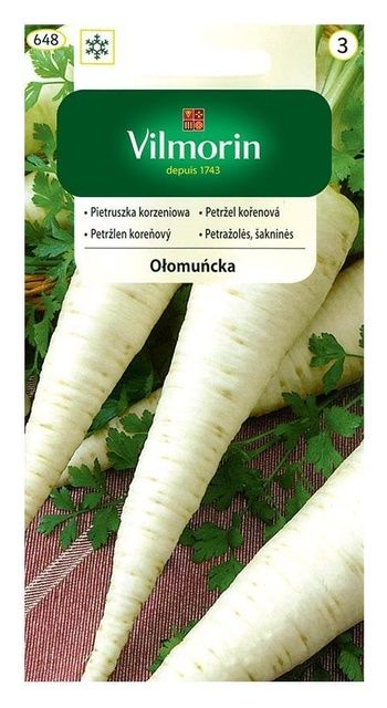 Pietruszka Ołomuńcka 5g Vilmorin