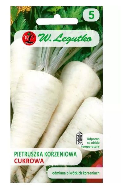 Pietruszka Cukrowa Legutko