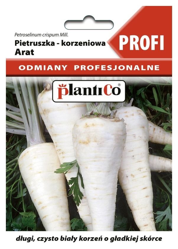 Pietruszka korzeń Arat Profi Plantico