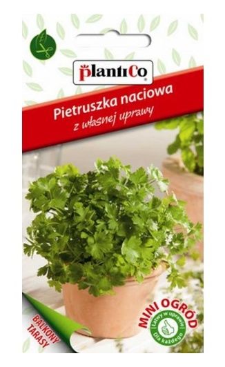 pietruszka naciowa mini ogród