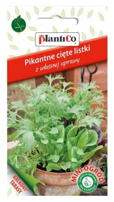 mix liścier pikantne plantico