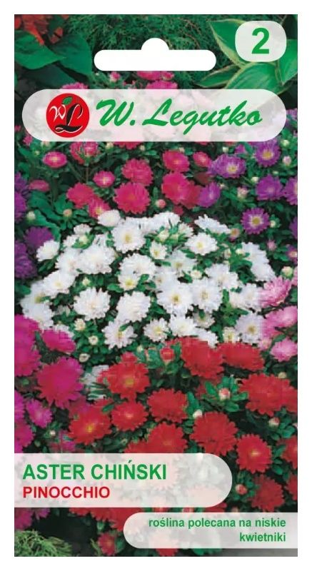 Aster chiński karłowy Pinocchio 0,5g Legutko