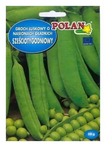 Groch Sześciotygodniowy 40g Polan