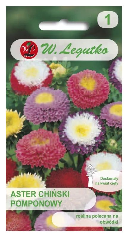 Aster chiński pomponowy mix 1,25g Legutko