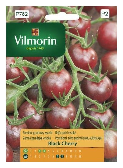Pomidor gruntowe wysoki Black Cherry 0,2g Vilmorin