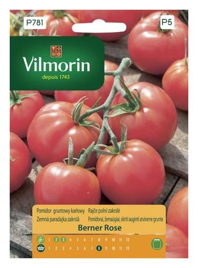 Pomidor gruntowy Berner Rose 0,2g Vilmorin