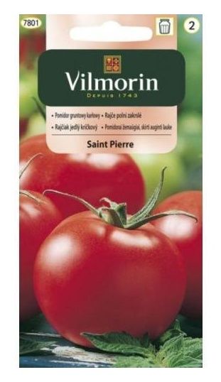 Pomidor gruntowy karłowy Saint Pierre 1g Vilmorin