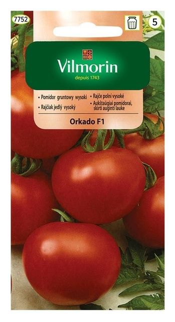 Pomidor gruntowy Orkado 0,2g Vilmorin