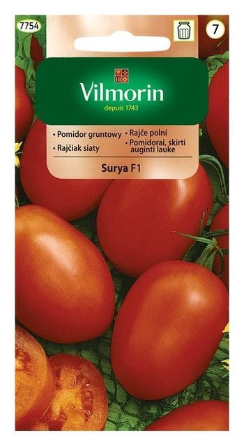Pomidor gruntowy Surya 0,2g Vilmorin