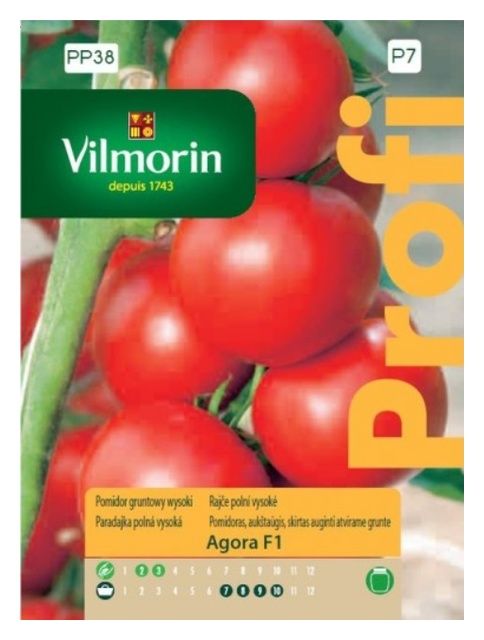 Pomidor gruntowy wysoki Agora F1 0,2g Vilmorin 