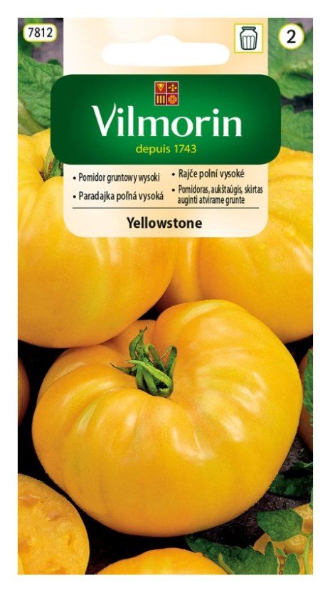 Pomidor gruntowy wysoki Yellowstone 0,2g Vilmorin