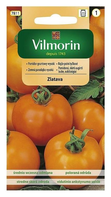 Pomidor gruntowy Zlatava 0,2g Vilmorin