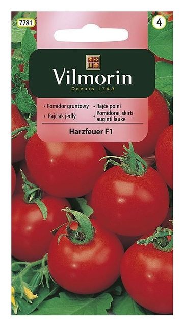 Pomidor Harzfeuer F1 0,3g Vilmorin