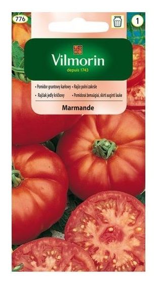 Pomidor karłowy Marmande 1g Vilmorin
