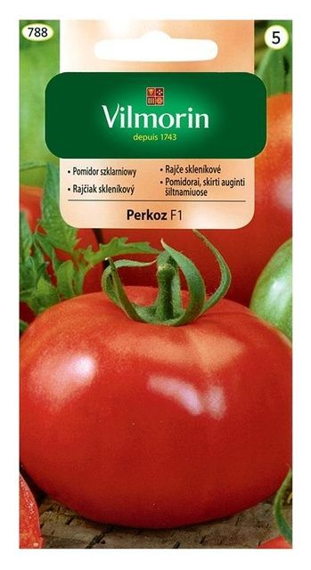 Pomidor Perkoz F1 0,2g Vilmorin