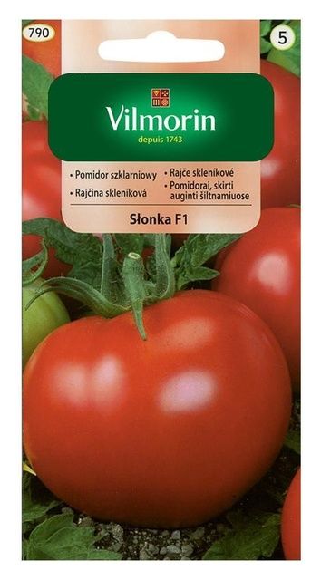 Pomidor Słonka F1 0,2g Vilmorin