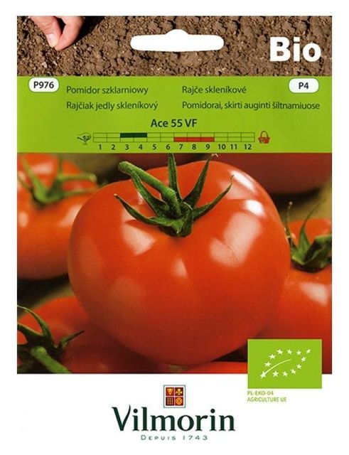 Pomidor szklarniowy Ace 55 VF 0,5g Vilmorin