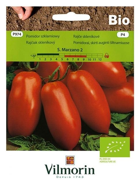 Pomidor szklarniowy Marzano Bio 0,5g Vilmorin