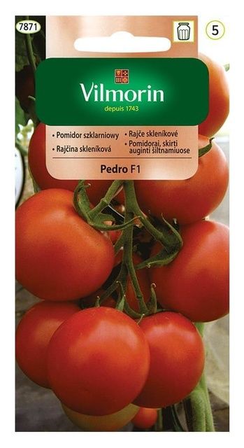 Pomidor szklarniowy Pedro mieszaniec F1 0,1g Vilmorin