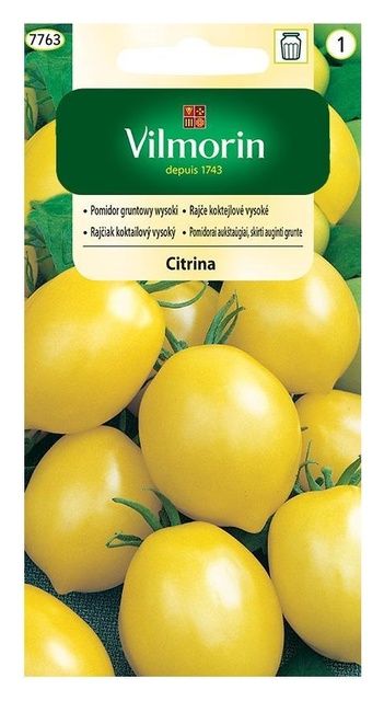 Pomidor zółty Citrina 0,3g Vilmorin