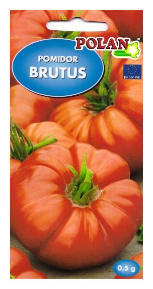 Pomidor Brutus 0,5g Polan