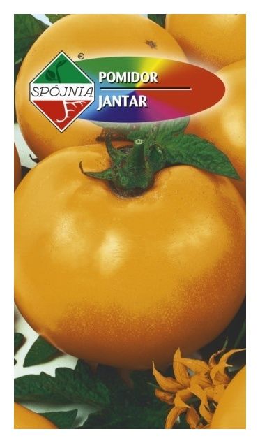 Pomidor Jantar 0.5g Spójnia