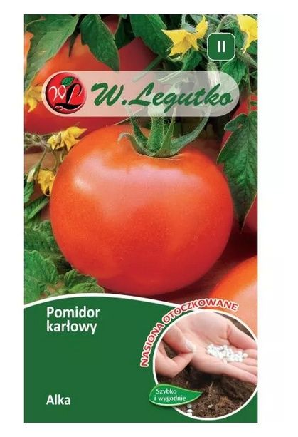 Pomidor karłowy Alka nasiona otoczkowane 100 sztuk Legutko