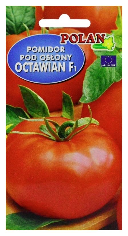 Pomidor szklarniowy Octawian 0,1g PlantiCo