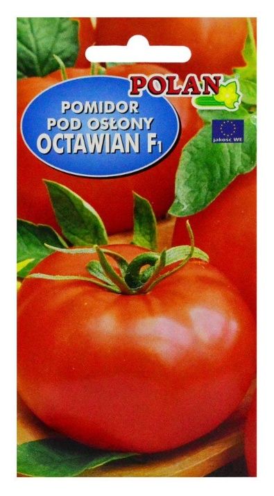 Pomidor szklarniowy Octawian F1 0,1g Polan