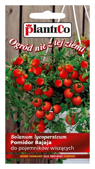 Pomidor wiszący typ cherry Bajaja 0,2g PlantiCO