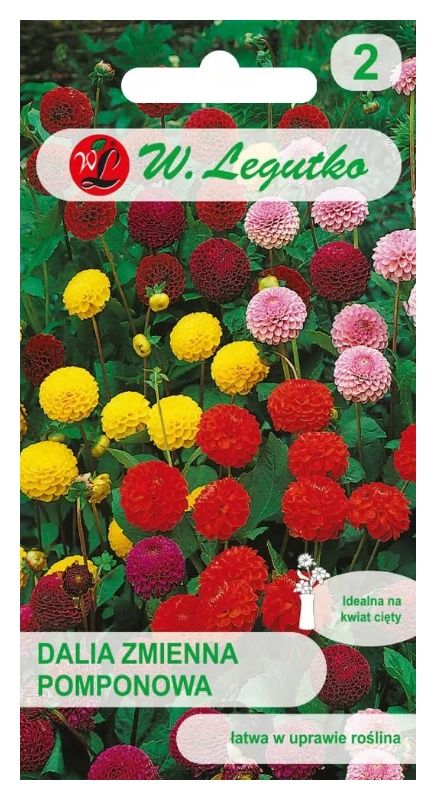 Dalia zmienna pomponowa mix 1g Legutko