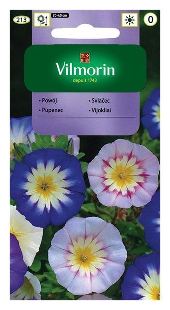 Powój Trójbarwny 2g Vilmorin