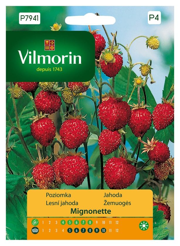 Poziomka Mignonette 0,1g Vilmorin