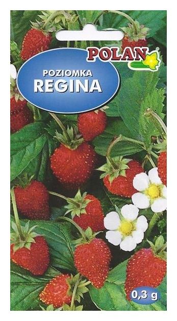 Poziomka Regina 0,3g Polan