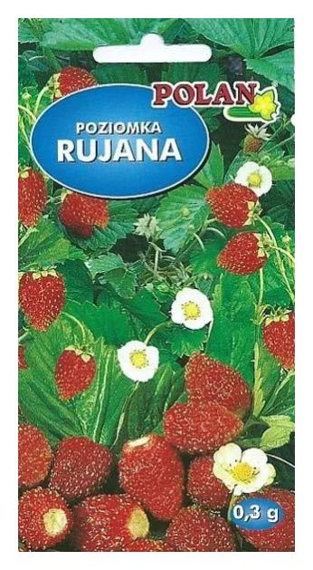 Poziomka Rujana 0,3g Polan