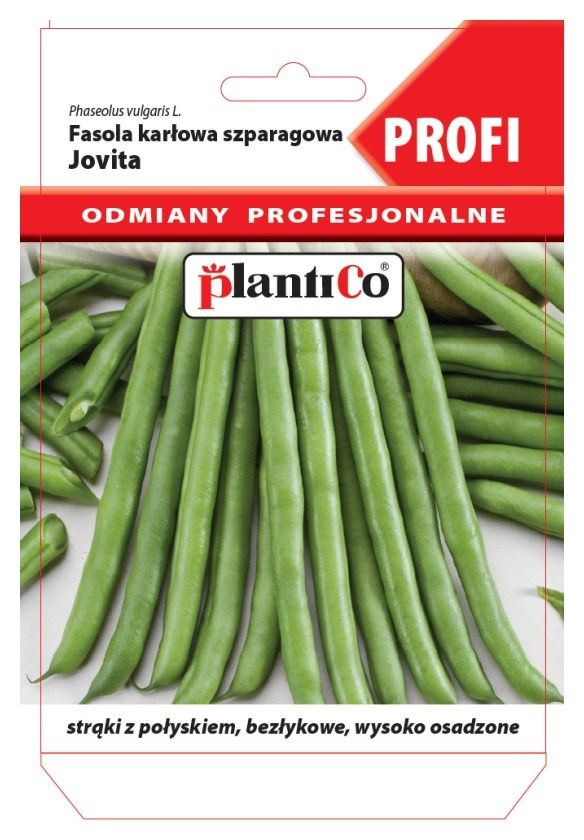Fasola szparagowa zielona Jovita Profi 30g Plantico