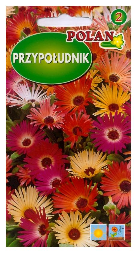 Przypołudnik 0,5g Polan