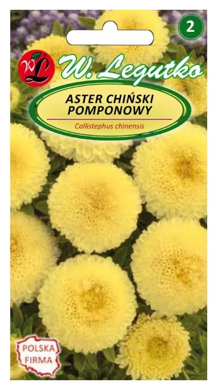 Aster chiński pomponowy żółty 1g Legutko