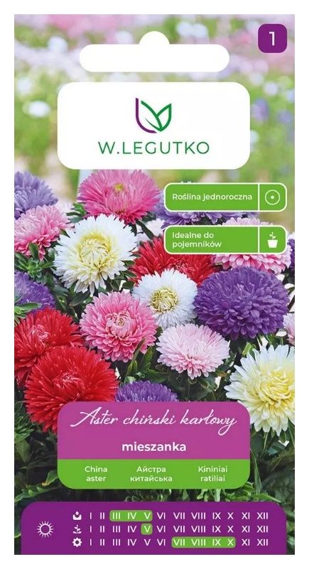 Aster chiński karłowy mix 1,25g Legutko