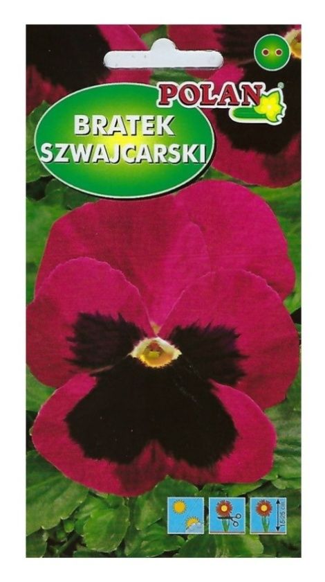 Bratek szwajcarski Polan3