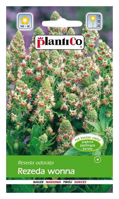 Rezeda wonna 2g PlantiCo
