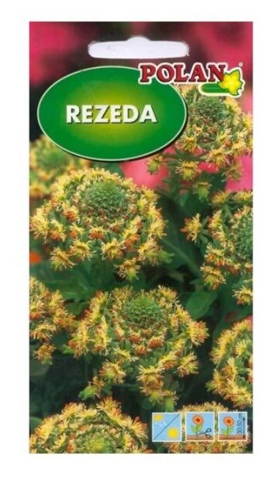 Rezeda wonna 2g Polan