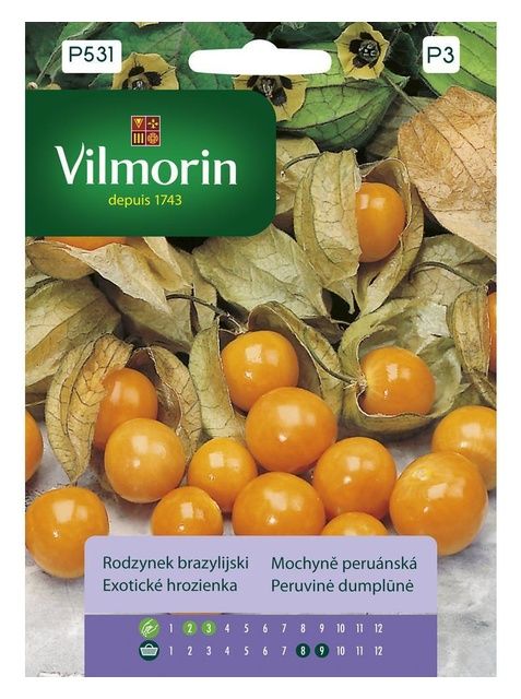 Rodzynek Brazylijski 0,1g Vilmorin