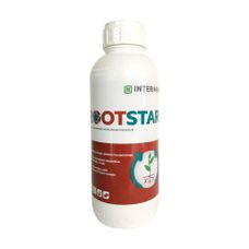 Rootstar Intermag