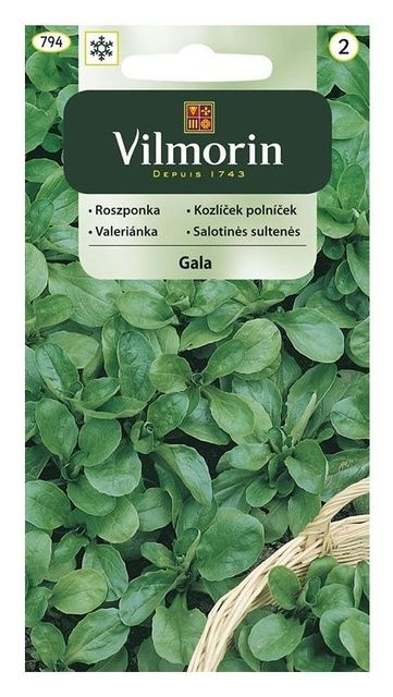 Roszponka Gala 0,5g Vilmorin