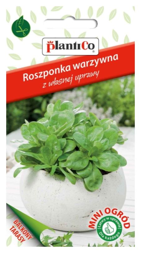 roszponka plantico