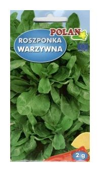 Roszponka D'Olanda 2g Polan